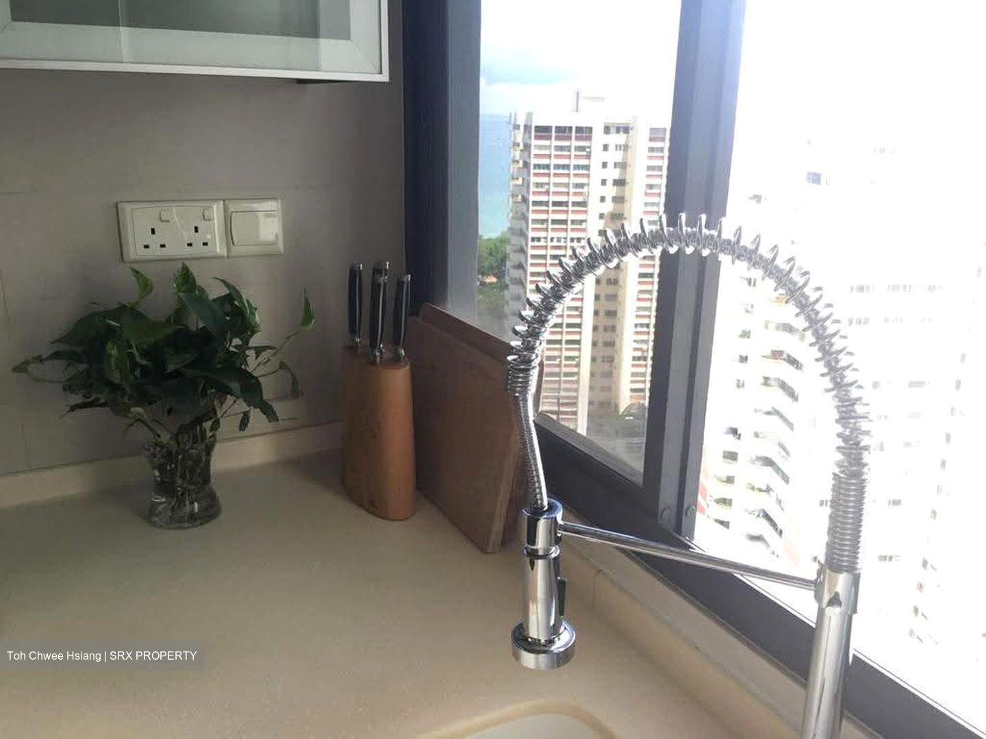Mandarin Gardens (D15), Condominium #607344951